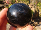 Polished Schorl Black Tourmaline Spheres x 4 From Madagascar - Toprock Gemstones and Minerals 