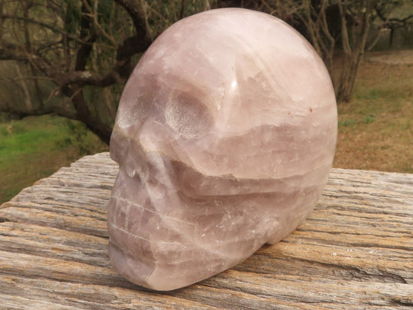 Polished Hand Carved Rose Quartz Skull With Rainbow Inclusions  x 1 From Madagascar - TopRock