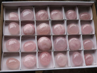 Polished Gemmy Pink Rose Quartz Palm Stones  x 24 From Madagascar - TopRock