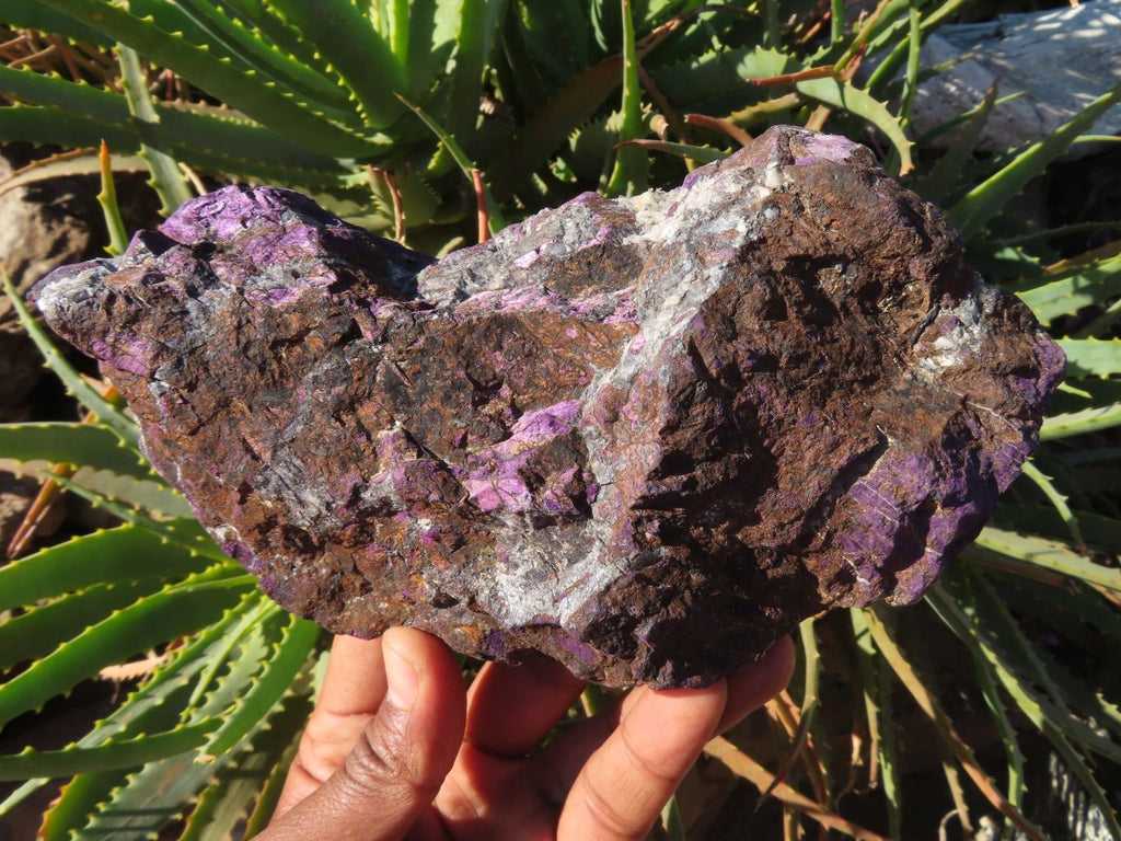 Natural Purpurite Rough Specimens x 2 From Namibia - TopRock