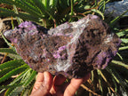 Natural Purpurite Rough Specimens x 2 From Namibia - TopRock