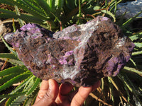 Natural Purpurite Rough Specimens x 2 From Namibia - TopRock