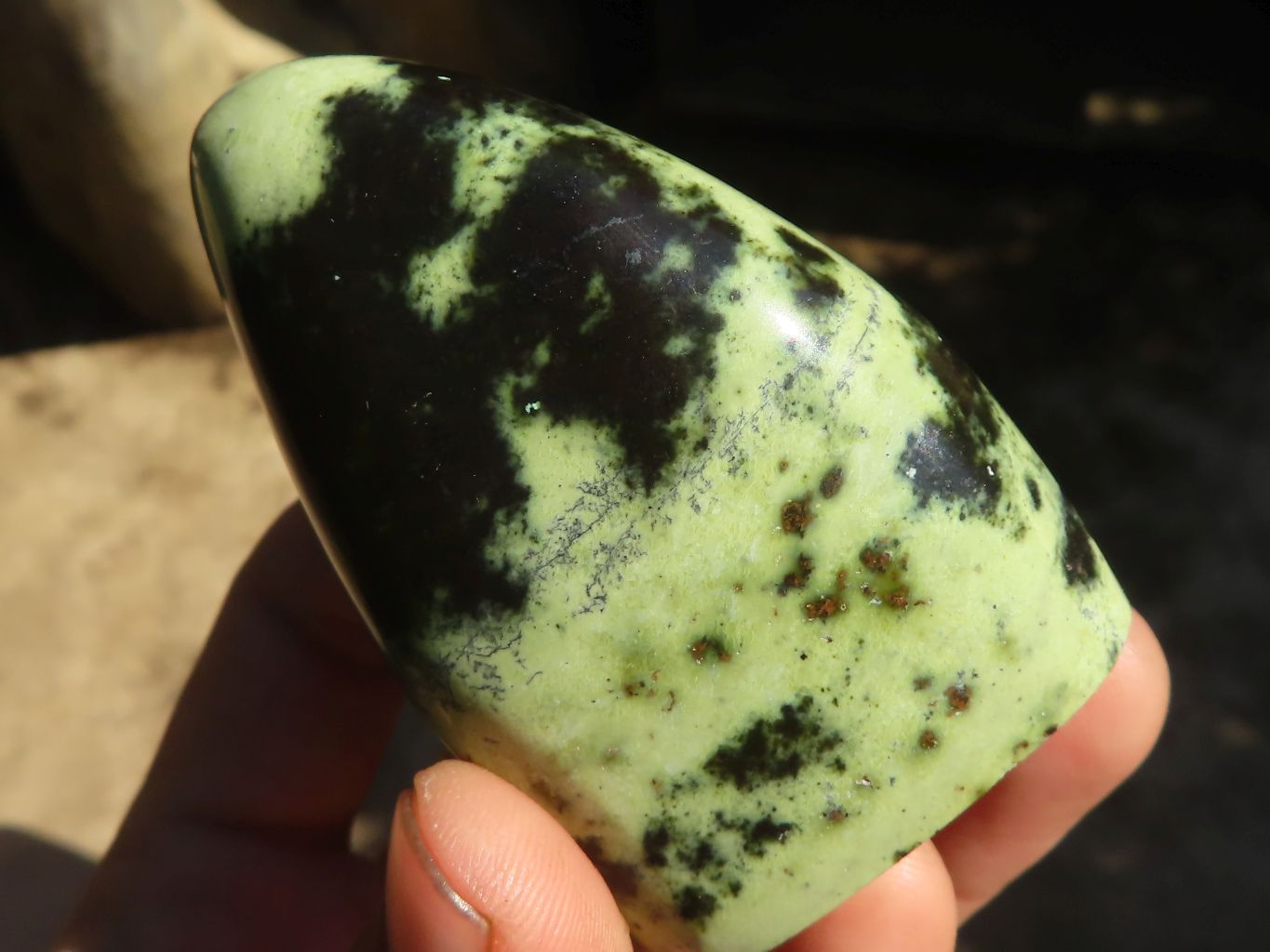 Polished Stopped Leopard Stone Standing Free Forms  x 12 From Nyanga & Shamva, Zimbabwe - Toprock Gemstones and Minerals 