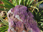 Natural Purpurite Rough Specimens x 2 From Namibia - TopRock