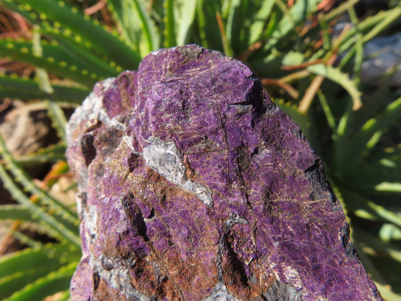 Natural Purpurite Rough Specimens x 2 From Namibia - TopRock
