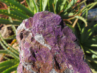 Natural Purpurite Rough Specimens x 2 From Namibia - TopRock