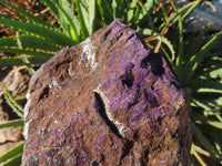 Natural Purpurite Rough Specimens x 2 From Namibia - TopRock