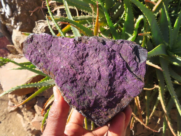 Natural Purpurite Rough Specimens x 2 From Namibia - TopRock