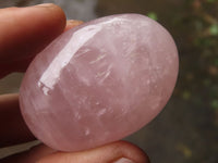 Polished Gemmy Pink Rose Quartz Palm Stones  x 24 From Madagascar - TopRock