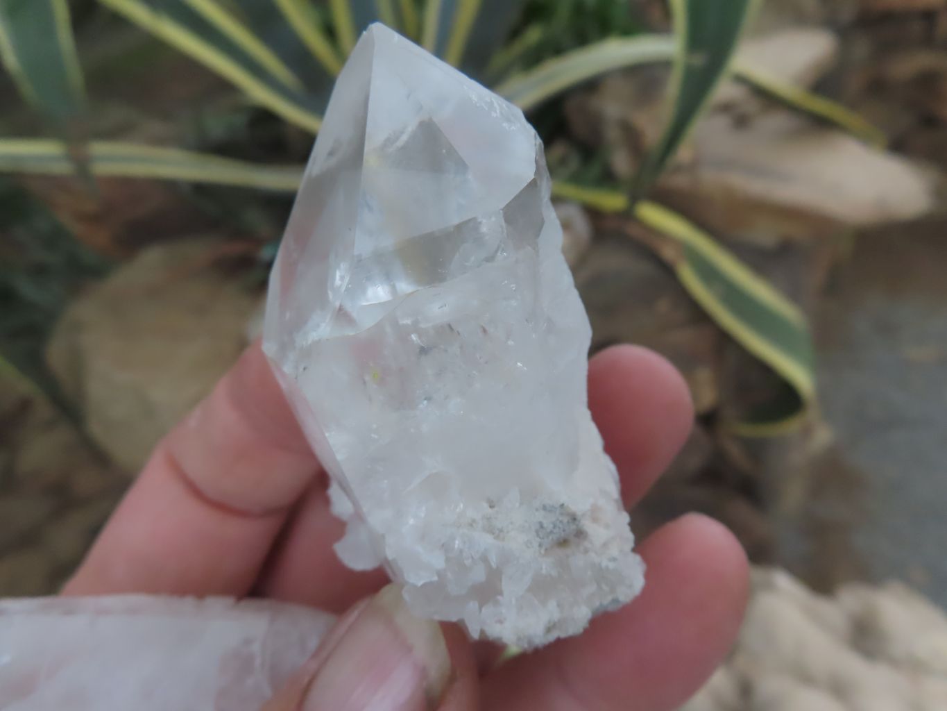 Natural Single Clear Quartz Crystals  x 26 From Mpika, Zambia - Toprock Gemstones and Minerals 