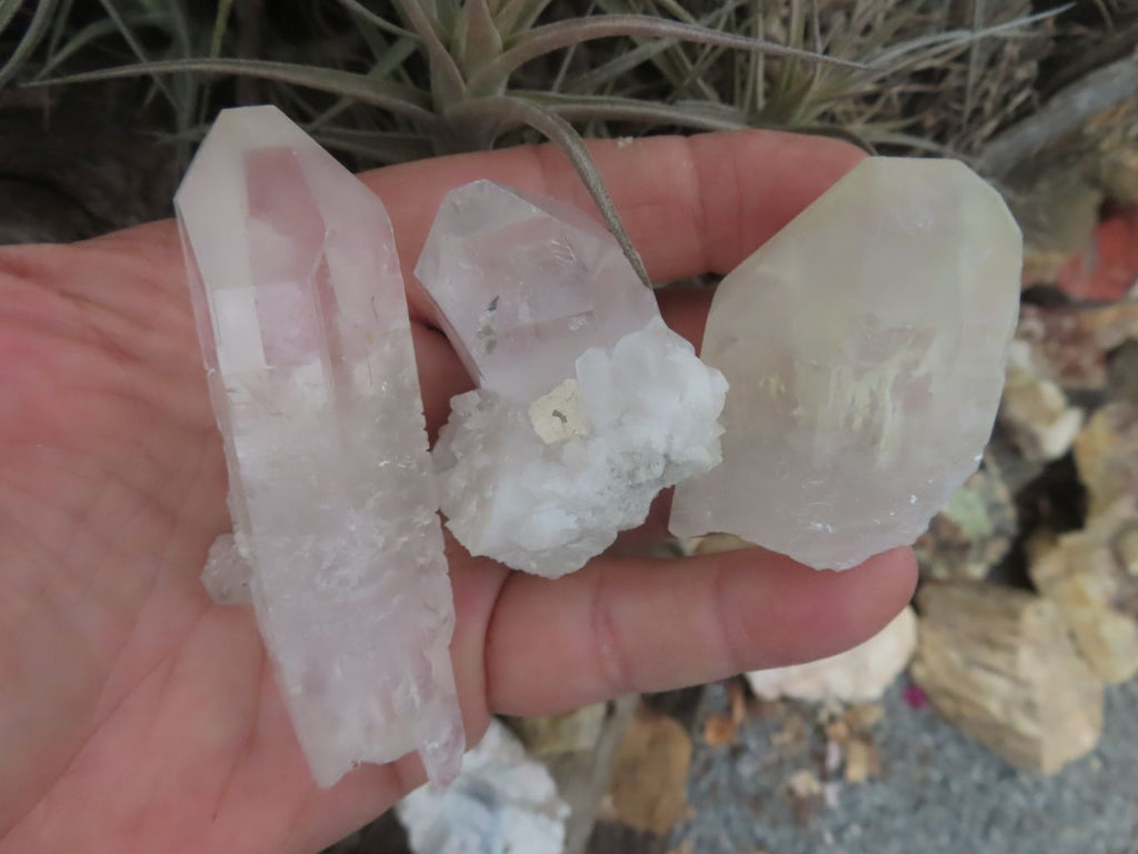 Natural Single Clear Quartz Crystals  x 26 From Mpika, Zambia - Toprock Gemstones and Minerals 