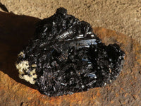 Natural Schorl Black Tourmaline Specimens x 12 From Erongo, Namibia - Toprock Gemstones and Minerals 