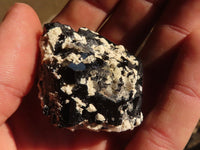 Natural Schorl Black Tourmaline Specimens x 12 From Erongo, Namibia - Toprock Gemstones and Minerals 