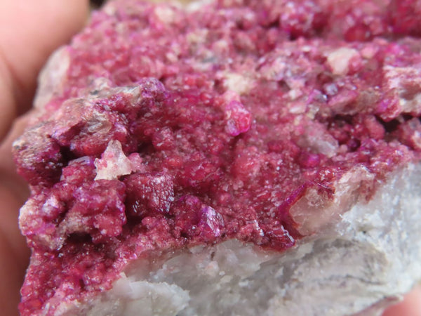 Natural Pink Salrose Cobaltion Dolomite Specimens  x 2 From Kakanda, Congo - Toprock Gemstones and Minerals 