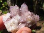 Natural Small Mixed Spirit Quartz Clusters  x 24 From Boekenhouthoek, South Africa - Toprock Gemstones and Minerals 