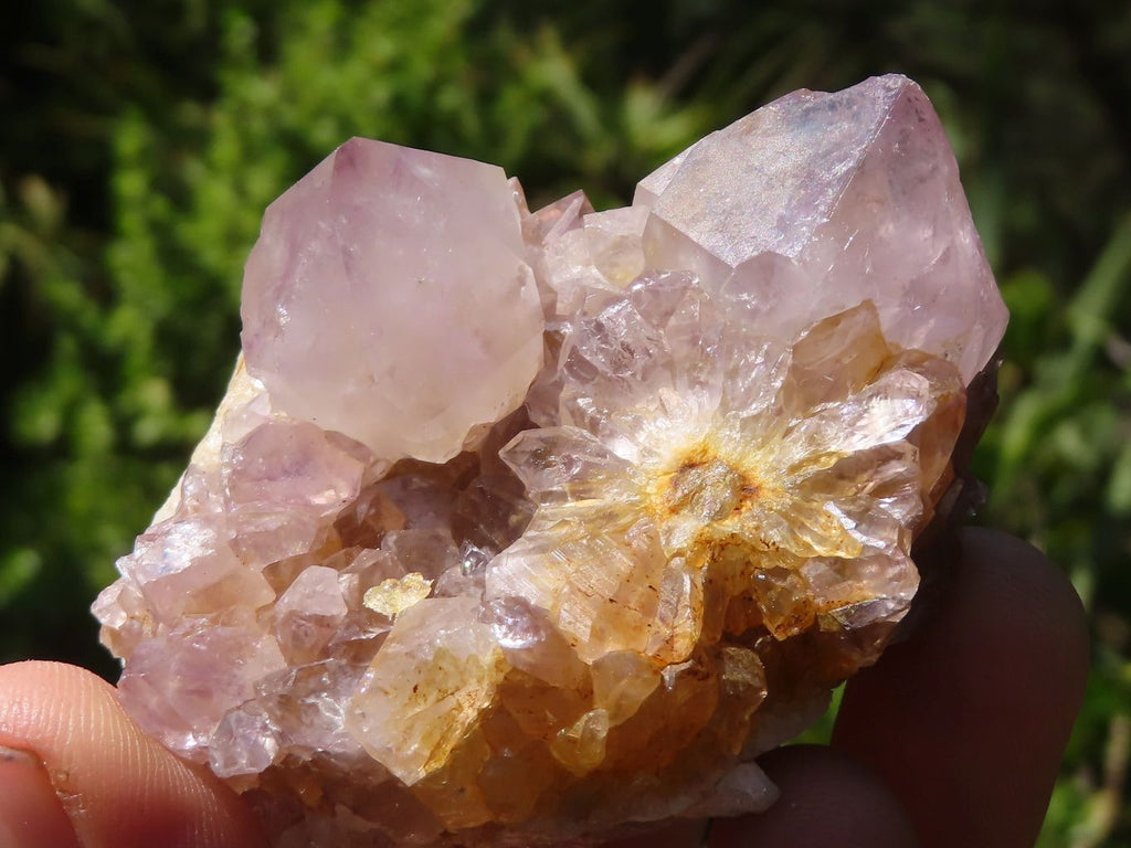 Natural Small Mixed Spirit Quartz Clusters  x 24 From Boekenhouthoek, South Africa - Toprock Gemstones and Minerals 