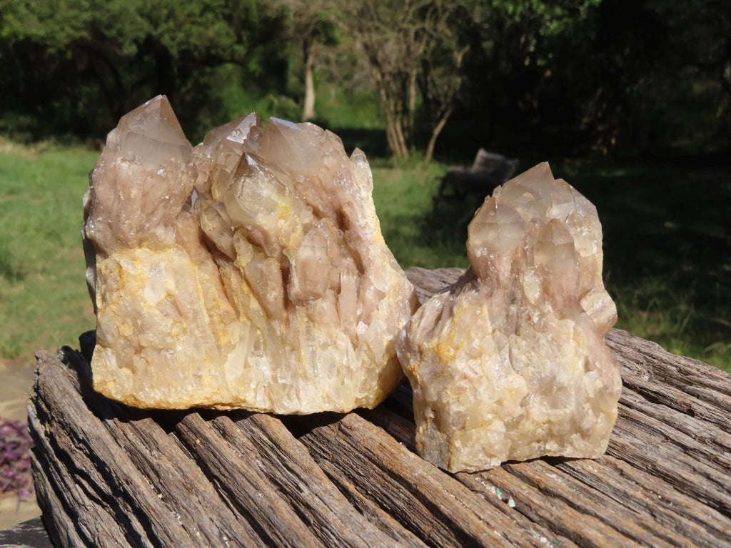 Natural Smokey Cascading Phantom Quartz Clusters x 2 From Luena, Congo - TopRock