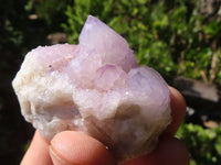 Natural Small Mixed Spirit Quartz Clusters  x 24 From Boekenhouthoek, South Africa - Toprock Gemstones and Minerals 