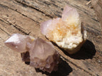 Natural Small Mixed Spirit Quartz Clusters  x 24 From Boekenhouthoek, South Africa - Toprock Gemstones and Minerals 