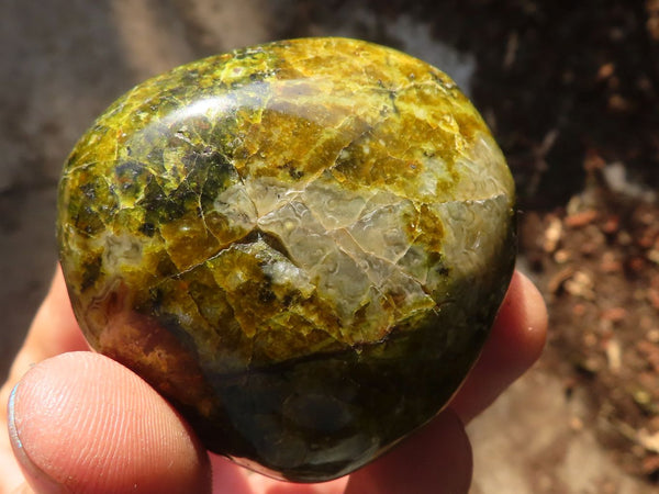 Polished Green Opal Galet / Palm Stones x 12 From Antsirabe, Madagascar - Toprock Gemstones and Minerals 