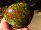 Polished Green Opal Galet / Palm Stones x 12 From Antsirabe, Madagascar - Toprock Gemstones and Minerals 