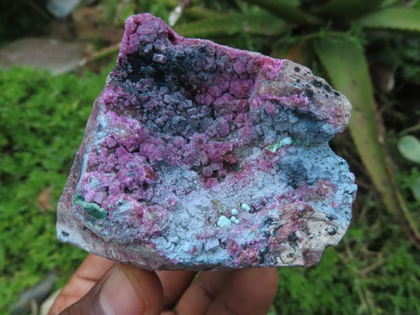 Natural Drusy Salrose/ Cobaltion Dolomite Specimens x 6 From Kakanda, Congo - TopRock