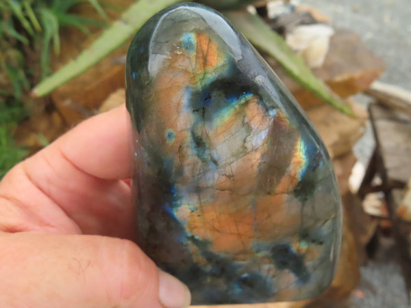 Polished Labradorite Standing Free Forms With Purple & Gold Flash  x 2 From Madagascar - Toprock Gemstones and Minerals 