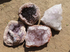 Natural Small Amethyst Geode Specimens  x 35 From Zululand, South Africa - TopRock