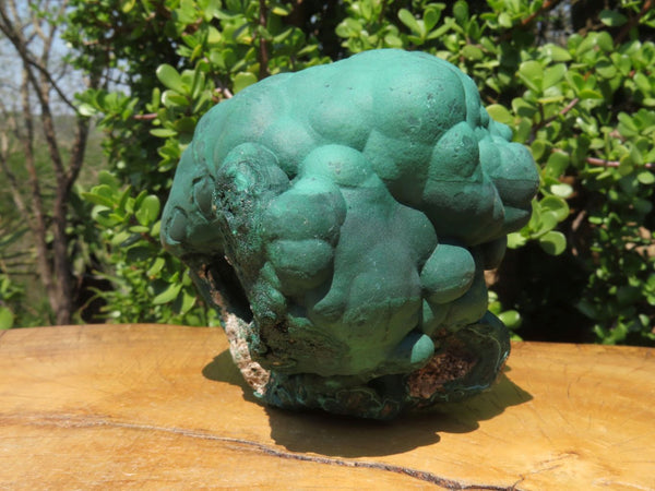 Natural Botryoidal Malachite Ball Formation x 1 From Kolwezi, Congo - TopRock