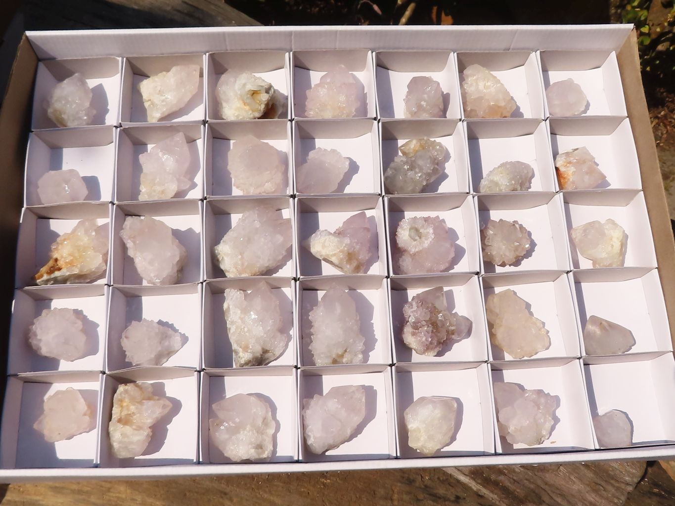 Natural Small White spirit / Cactus Flower Quartz Crystals x 35 From Boekenhouthoek, South Africa - Toprock Gemstones and Minerals 