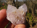 Natural Small White spirit / Cactus Flower Quartz Crystals x 35 From Boekenhouthoek, South Africa - Toprock Gemstones and Minerals 