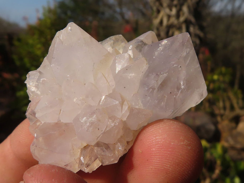 Natural Small White spirit / Cactus Flower Quartz Crystals x 35 From Boekenhouthoek, South Africa - Toprock Gemstones and Minerals 