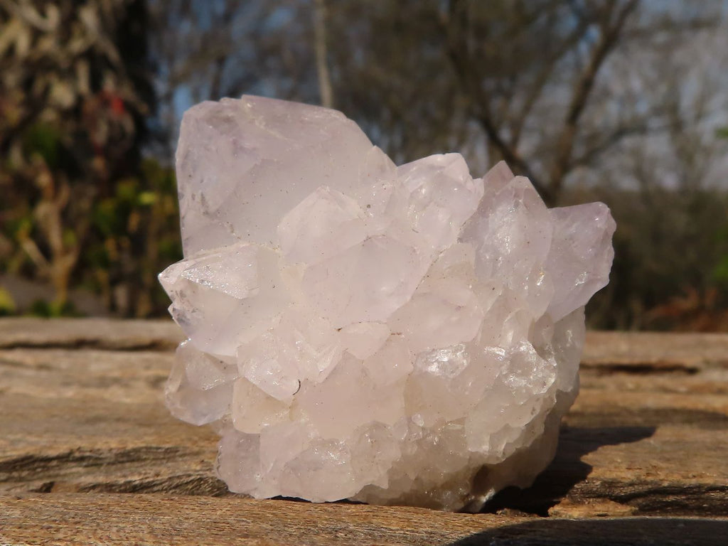 Natural Small White spirit / Cactus Flower Quartz Crystals x 35 From Boekenhouthoek, South Africa - Toprock Gemstones and Minerals 