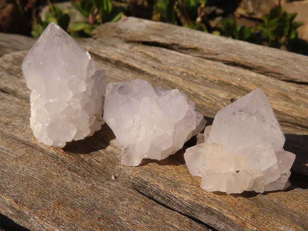 Natural Small White spirit / Cactus Flower Quartz Crystals x 35 From Boekenhouthoek, South Africa - Toprock Gemstones and Minerals 