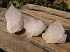 Natural Small White spirit / Cactus Flower Quartz Crystals x 35 From Boekenhouthoek, South Africa - Toprock Gemstones and Minerals 
