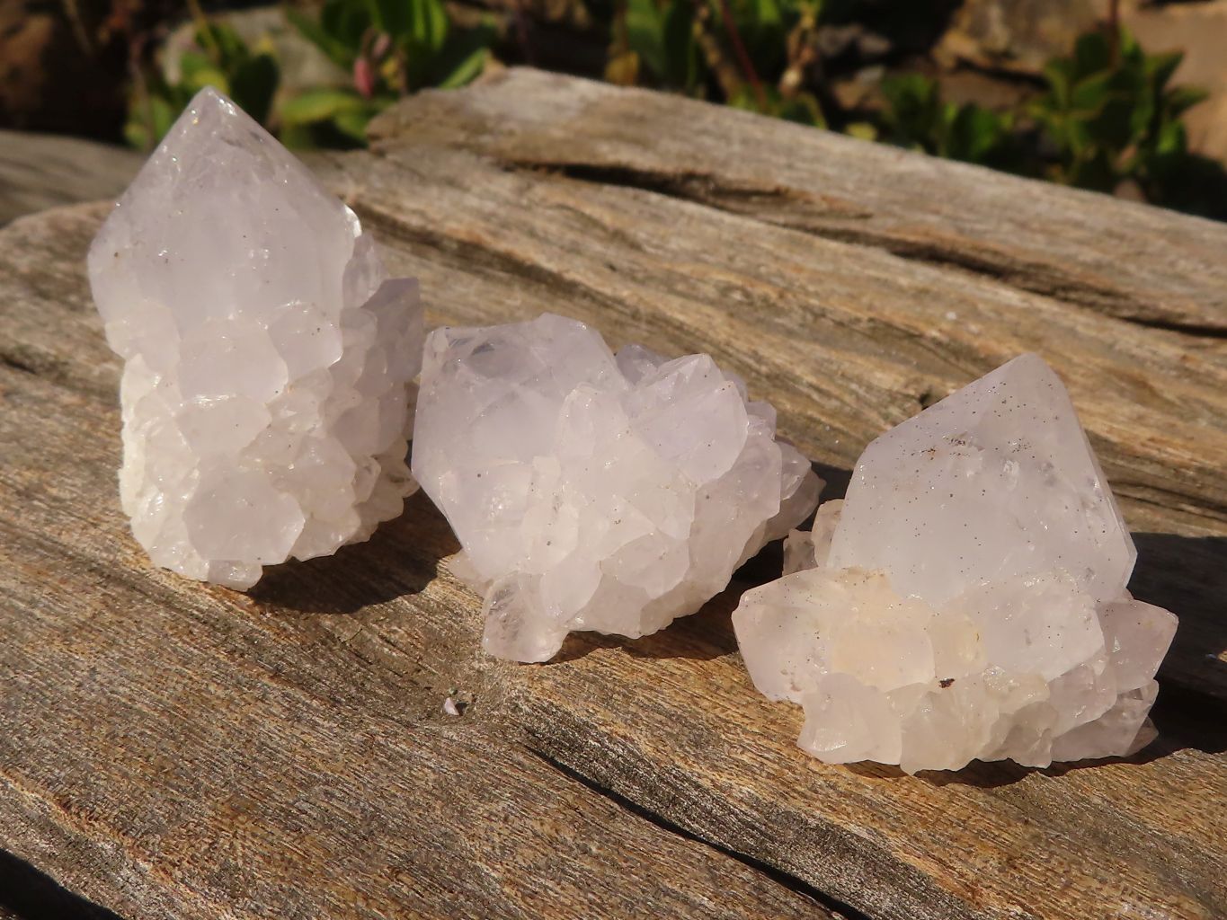 Natural Small White spirit / Cactus Flower Quartz Crystals x 35 From Boekenhouthoek, South Africa - Toprock Gemstones and Minerals 