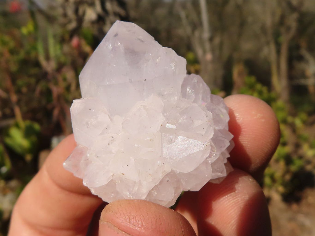 Natural Small White spirit / Cactus Flower Quartz Crystals x 35 From Boekenhouthoek, South Africa - Toprock Gemstones and Minerals 