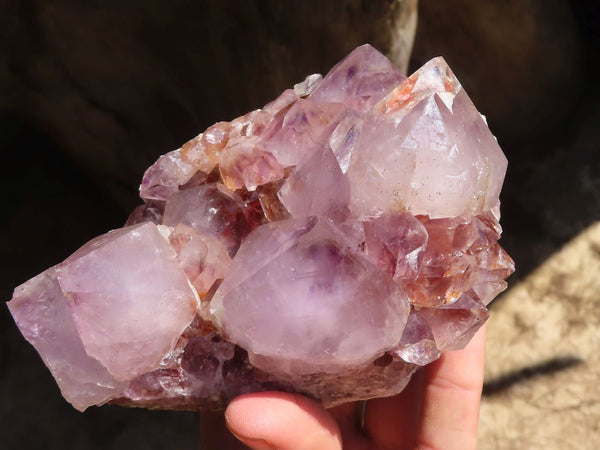 Natural Gorgeous Spirit Amethyst Quartz Clusters  x 2 From Boekenhouthoek, South Africa - Toprock Gemstones and Minerals 
