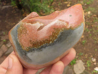 Polished One Side Polished Polychrome / Picasso Jasper Free Forms  x 7 From Madagascar - TopRock