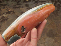 Polished One Side Polished Polychrome / Picasso Jasper Free Forms  x 7 From Madagascar - TopRock