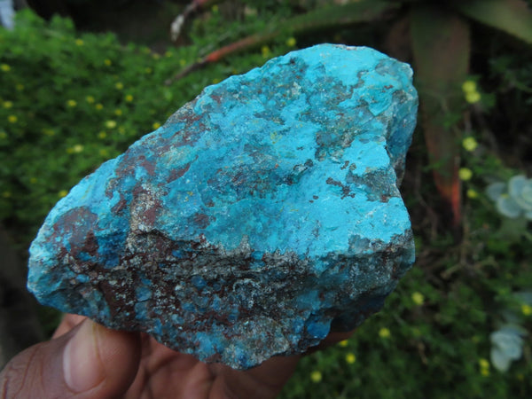 Natural Shattuckite Specimens x 6 From Namibia - TopRock