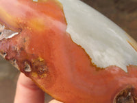 Polished One Side Polished Polychrome / Picasso Jasper Free Forms  x 7 From Madagascar - TopRock