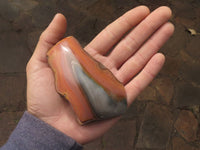 Polished One Side Polished Polychrome / Picasso Jasper Free Forms  x 7 From Madagascar - TopRock