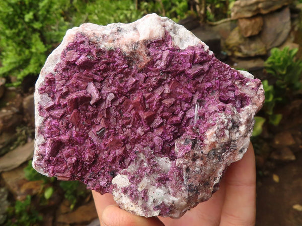 Natural Large Pink Salrose Specimens  x 2 From Kakanda, Congo - Toprock Gemstones and Minerals 