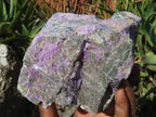 Natural Rare Stichtite & Green Serpentine Specimens x 2 From Barberton, South Africa - TopRock