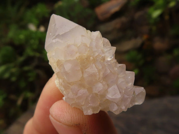 Natural Small Mixed Spirit Quartz Crystals  x 63 From Boekenhouthoek, South Africa - Toprock Gemstones and Minerals 