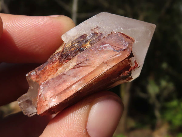 Natural Pineapple Candle Quartz Crystals  x 35 From Antsirabe, Madagascar - Toprock Gemstones and Minerals 