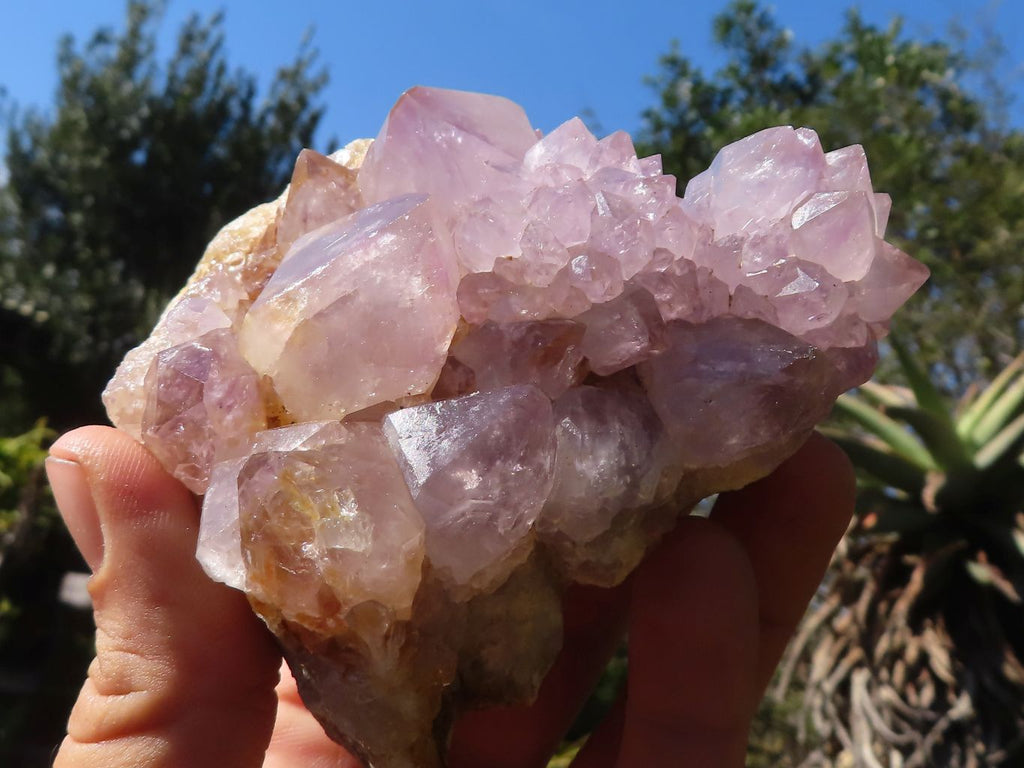 Natural Spirit Amethyst Quartz Clusters  x 3 From Boekenhouthoek, South Africa - Toprock Gemstones and Minerals 