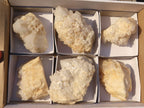 Natural "Cathedral Window" Candle Quartz Formations  x 6 From Madagascar - Toprock Gemstones and Minerals 