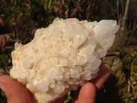 Natural "Cathedral Window" Candle Quartz Formations  x 6 From Madagascar - Toprock Gemstones and Minerals 
